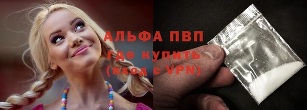 спайс Алзамай