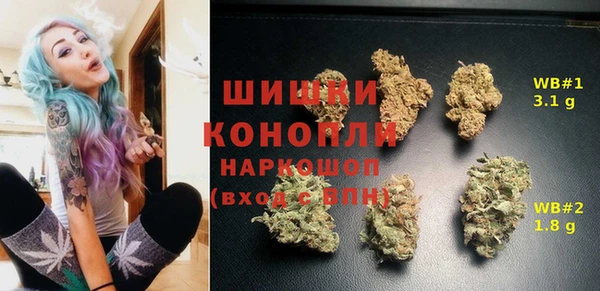 спайс Алзамай