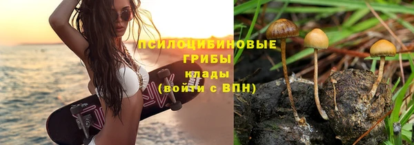 шишки Алексеевка