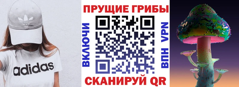Псилоцибиновые грибы мицелий  Канаш 