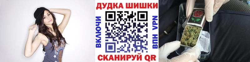 купить наркоту  мориарти телеграм  Канабис ГИДРОПОН  Канаш 