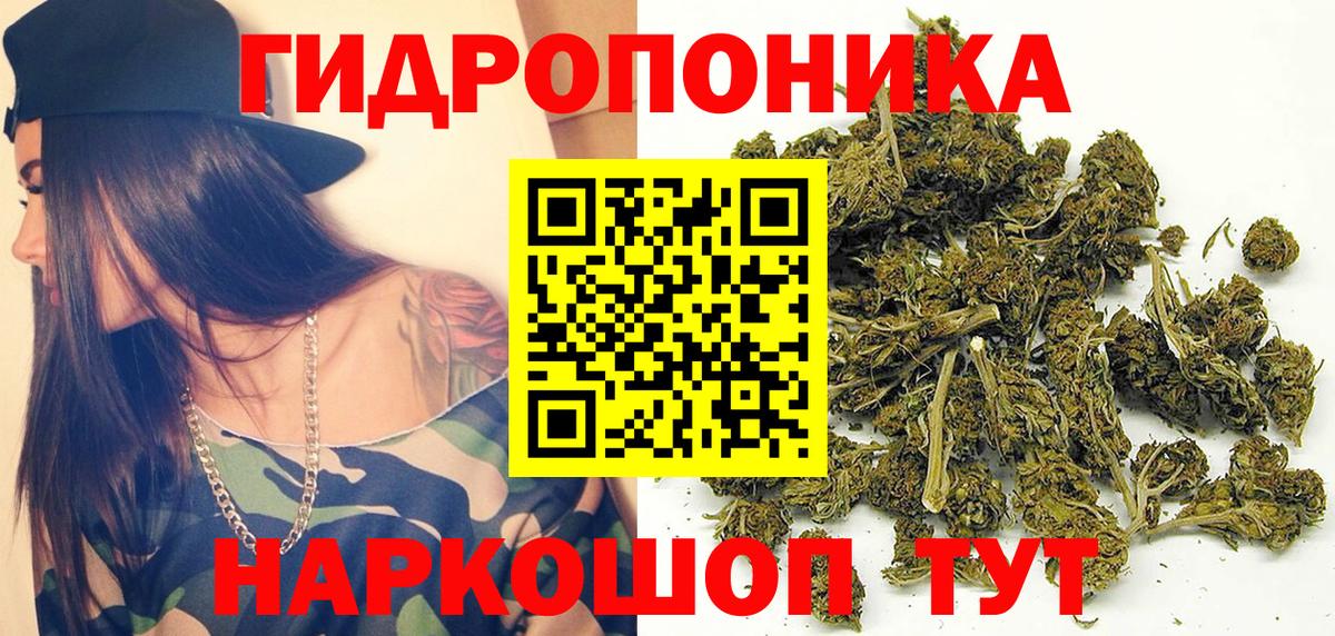 Конопля White Widow  Вход с VPN  МАРИХУАНА сатива  Канаш  Конопля ГИДРОПОН 